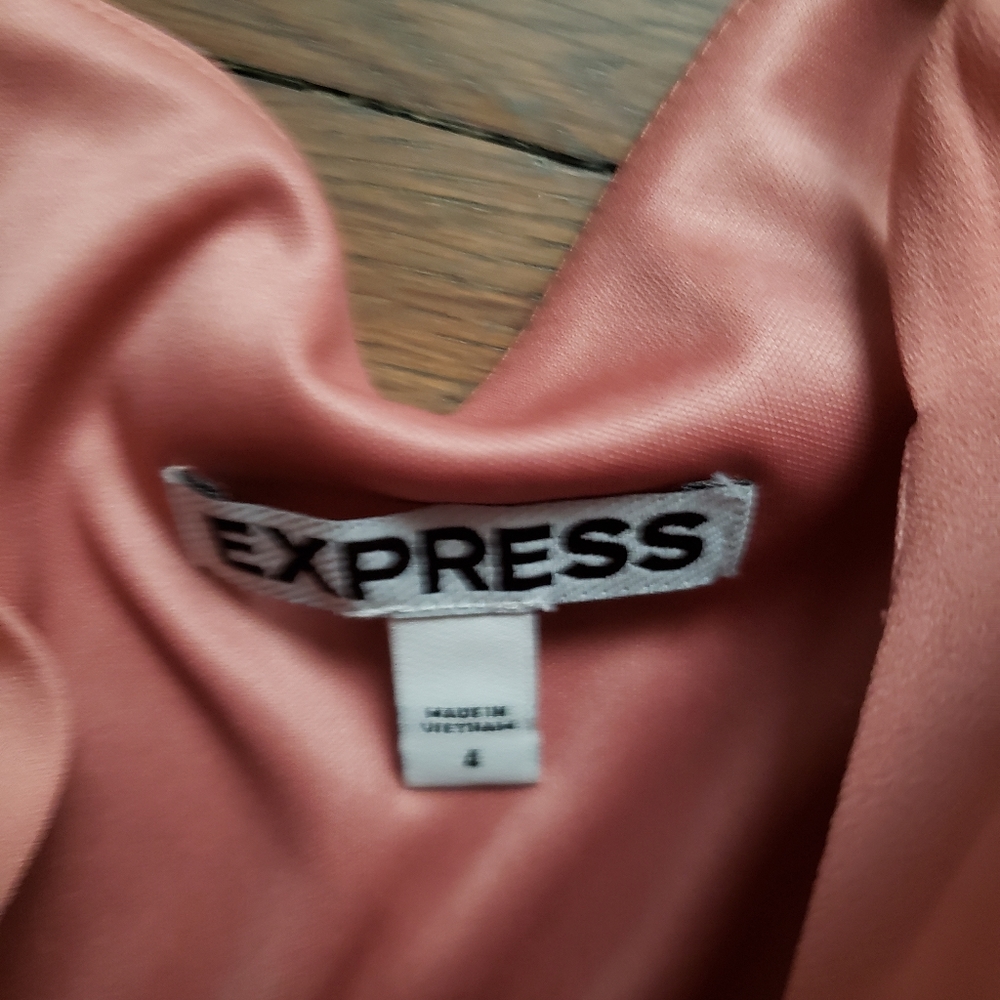 Express Dress - Picture 5 of 6